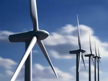 Types of renewable energy and examples