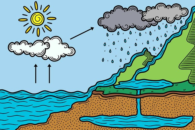 The water cycle: stages and importance of the process
