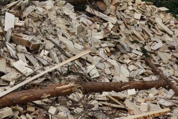 Biomass Energy