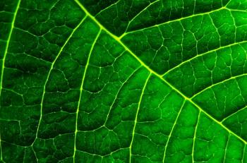 Generation Of Solar Fuel