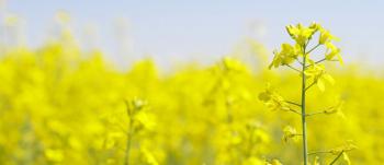 Biofuels