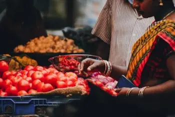 Everyday life in the past: energy sources and livelihoods