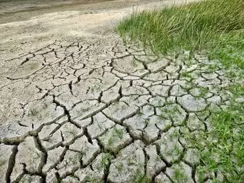 Climate change. Causes and consequences