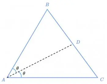 Bisector Theorem: Dividing Angles and Segments