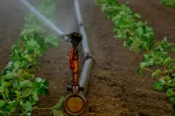 Irrigation using photovoltaic solar energy
