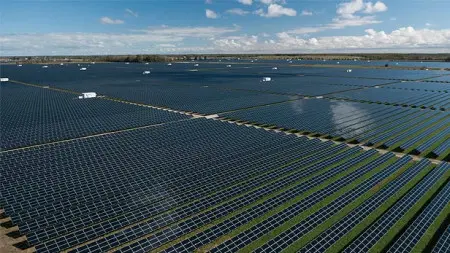 Solar panel farms: what it is, advantages and disadvantages