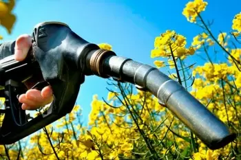 What are Biofuels and their pros and cons